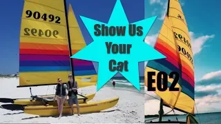 Show us your cat! E02   Sweden, Florida, Barcelona, Victoria and Uraguay!