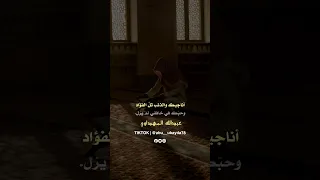 أناجيك رب ي وكل ي أمل اناشيد اسلاميه أبوعبيدة البحداوي 