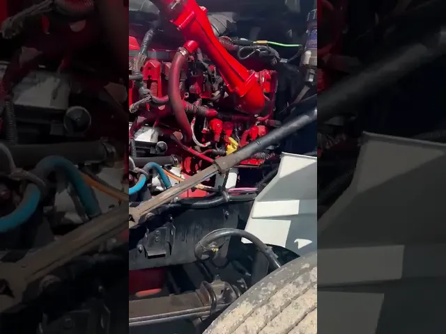 View Video