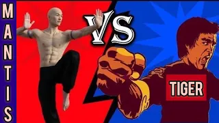 Animal Kung Fu Fighting Scene Praying Mantis Vs Tiger Kung Fu 螳螂拳 VS 虎拳 