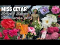 Download Lagu BELANJA BUNGA DI JERMAN || MISS CETAR BORONG BUNGA
