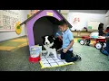 Alief ISD Interactive Pre-K Program