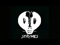 Stitches - Bullet For My Valentine (Guitar Cover)( Japan Bonus Track)