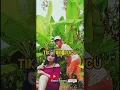 Download Lagu tik tok lucu