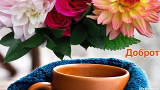 اول حب حلمي عبد الباقي 