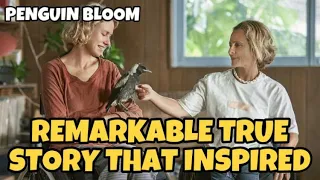 penguin bloom 2020 full movie plot