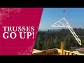Download Lagu De spanten van ons off-grid huis in de bergen worden gebouwd! | Aflevering 36 | Geen ladders meer...