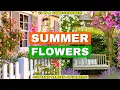 Download Lagu 10 onmisbare zomerbloemen voor een cottage-tuingevoel!