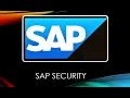 SAP Security How to find all the Trans code a User is Auth to execute in SAP Tcode S - BCE