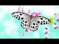 Download Lagu Нежнейшая песня весны, Прекрасная весенняя мелодия любви! Сергей Грищук