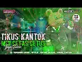 Download Lagu DJ TIKUS KANTOR TJAP TASSO  || STYLE CETAS CETUS VERSI TERBARU || SPESIAL RAKYAT VS PEMERINTAH VIRAL