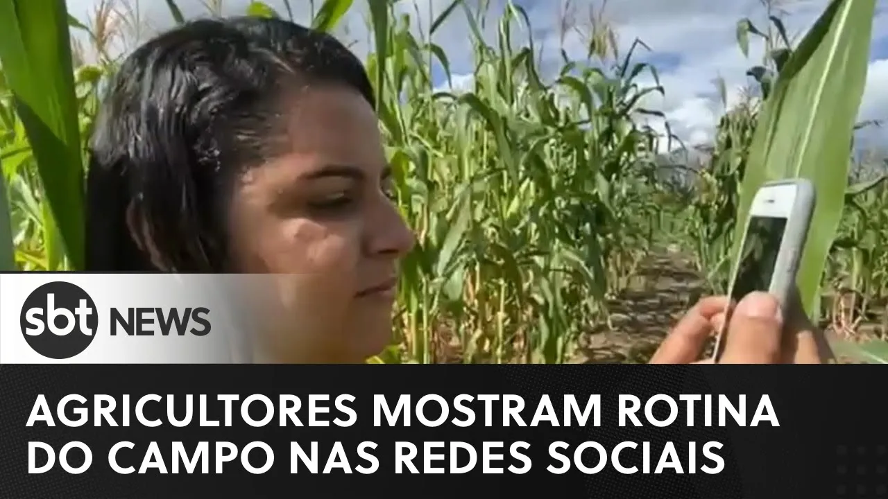 Agricultores mostram, nas redes sociais, rotina em assentamento no Ceará | #SBTNewsnaTV (18/06/23)