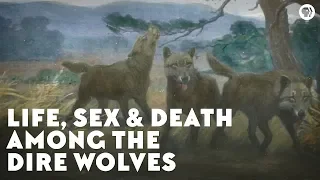 Download Life, Sex \u0026 Death Among the Dire Wolves MP3