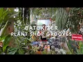 Download Lagu Brazilian vinyl boogie, samba groove and axé • Plant Shop Grooves 01