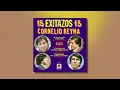 Cornelio Reyna - Mi Tesoro (Audio Oficial)