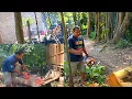 Kejutan Tak Terduka,,!! si Boss Tebang pohon nangka dan pohon wadang..