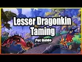 Lesser Dragonkin Taming Hunter Pet Guide Dragonflight