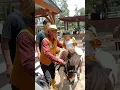 Download Lagu Naik Kuda Poni di Cimory Dairyland 🥰