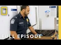 Download Lagu Suspicious Suitcase (Full Episode) | To Catch a Smuggler | National Geographic