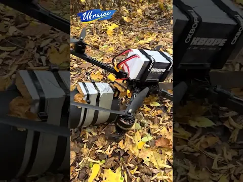 Розмінований дрон ворога — Шпак, 15 дюймів.
