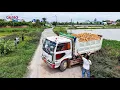 Download Lagu NICELY! START Project LANDFILL BY Excellent Skill Driver DOZER KOMATSU D21P Pushing \u00265T Dump Trucks