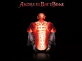 Download Lagu Andra and the Backbone   Surrender full   YouTube