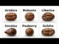 Every Type of Coffee Bean Explained in 8 Minutes