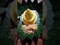 Download Lagu CARA BIKIN TUMPENG NASI KUNING SIMPLE