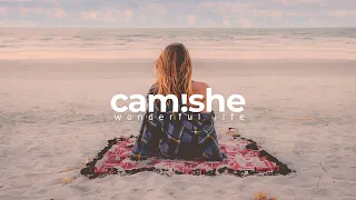 Download Max Oazo ft. Camishe - Wonderful Life (The Distance \u0026 Igi Remix) MP3