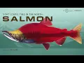 The Fish That Dies to Bring Alaska to Life Tight Loops Two in the North EP03