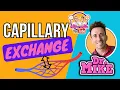 Capillary Exchange