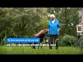Download Lagu Ab (94) zijn beste vriend is pony Jack: 'Ik hou van hem en hij van mij' | Hart van Nederland