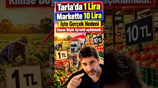 TARLADAN MARKETE FİYAT UÇURUMU! KİM NE KADAR KAZANIYOR?
