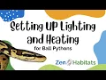 What Is The Proper Lighting Set Up for a Ball Python