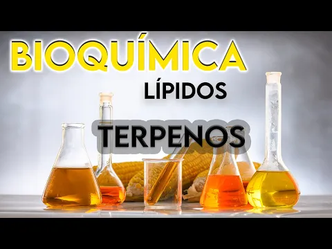 Download MP3 37- TERPENOS ¿QUÉ SON? || BIOQUÍMICA