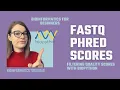 Bioinformatics Filtering FASTQ files by PHRED quality scores with Biopython