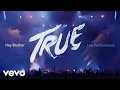 Download Lagu Avicii - Hey Brother (Live in Uncasville, True Tour 2014)