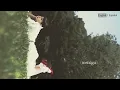 selines - places (Visualizer)