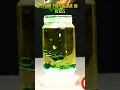 Making Lava Lamp