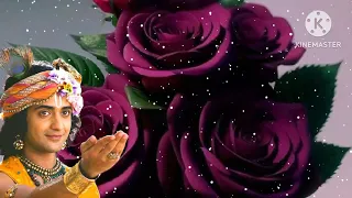  33 krishna motivational speech krishna vani radha krishna krishna bani 