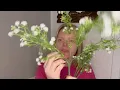 Up close look at these babys breath flowers