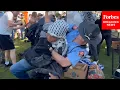 BREAKING NEWS Police Arrest Pro-Palestinian Protesters At Emory University In Atlanta Georgia