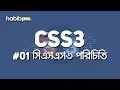 CSS Inroduction CSS3 TUTORIAL BANGLA TUTORIAL WEB DESIGN COURSE HABIB PRO