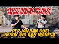 Download Lagu BANG REY TERBARU MAHESA DATANG UNTUK MEMBELI MADU BANG REY LAMPUNG #bangreylampung