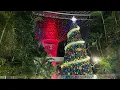 🎄 Jewel Changi Airport Christmas 2025 ✨ | The Magic of Adventure with Disney Cruise Line! 🚢