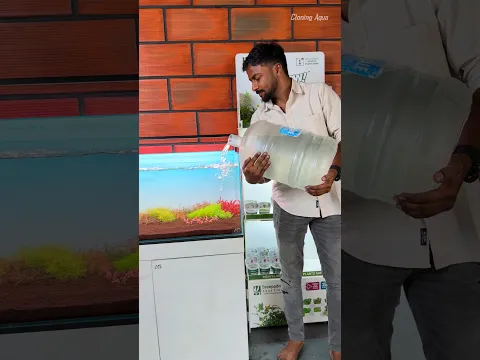 இதுல இவளோ விசியம் இருக்கா 😲 # #aquarium #fish #aquariumfishmarket #fishtank