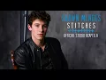 Shawn Mendes - Stitches (Official Studio Acapella)