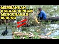 Download Lagu mancing unik menggunakan pancingan burung bantiung (fishing tradisional)#shorts