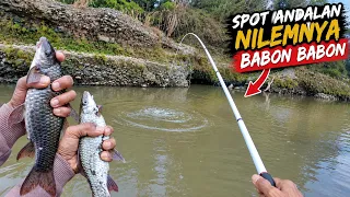 Mantap.! Mancing di Spot Andalan Ikan Nilemnya Babon babon bro...#LM35