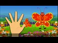Lagu butterfly finger family daddy finger ,daddy fingar  baby song dekhiye